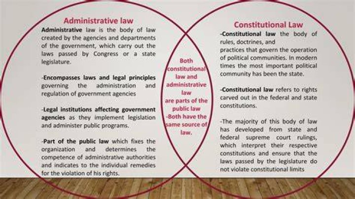 Discoveries And Insights In Criminal Law, Constitutional Law, And Legal Theory